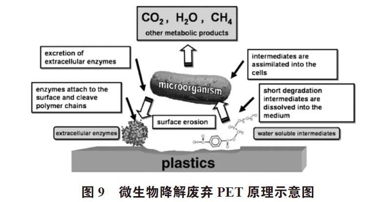 废弃PET塑料包装瓶的处理及再生资源化技术研究进展 废弃PET塑料包装瓶的处理及再生资源化技术研究进展