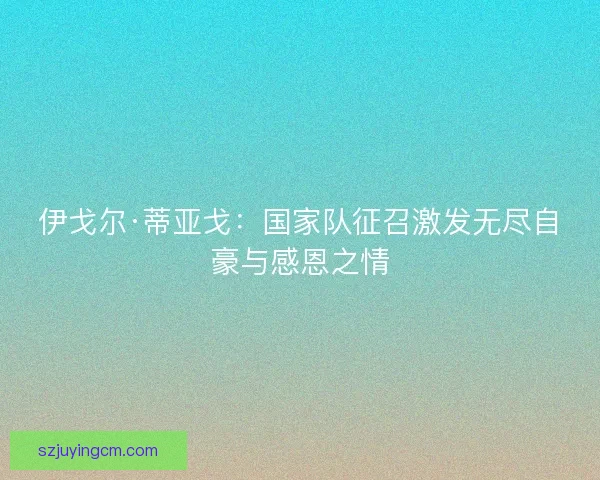 伊戈尔·蒂亚戈：国家队征召激发无尽自豪与感恩之情